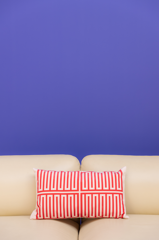 Coussin Elios rose et rouge S
